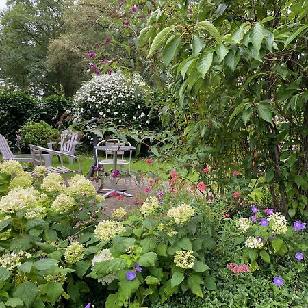 De Viersprong Bed and Breakfast Laren  Exteriör bild